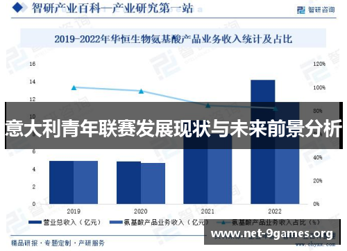 意大利青年联赛发展现状与未来前景分析