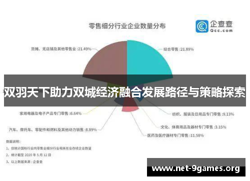 双羽天下助力双城经济融合发展路径与策略探索