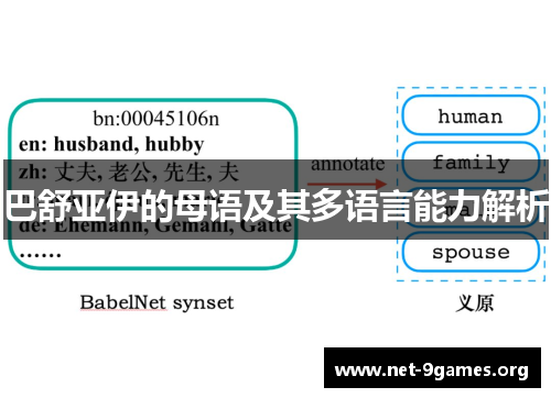 巴舒亚伊的母语及其多语言能力解析